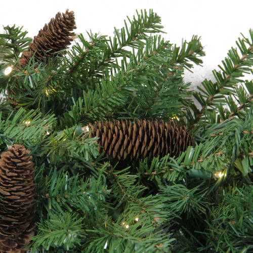 Pre-Lit LED Dakota Red Pine Artificial Christmas Wreath - 48-Inch, Warm White Lights