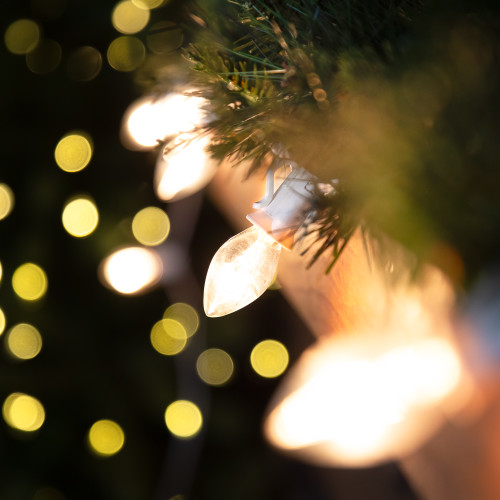 25 Count Clear C7 Christmas Lights, 24ft White Wire