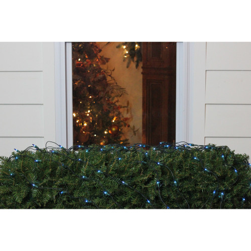 4' x 6' Blue Mini Net Style Christmas Lights, Green Wire