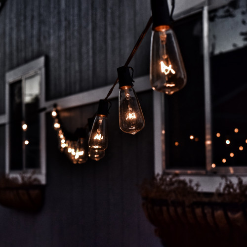 10-Count Clear Edison Glass Patio Lights, 9ft Green Wire