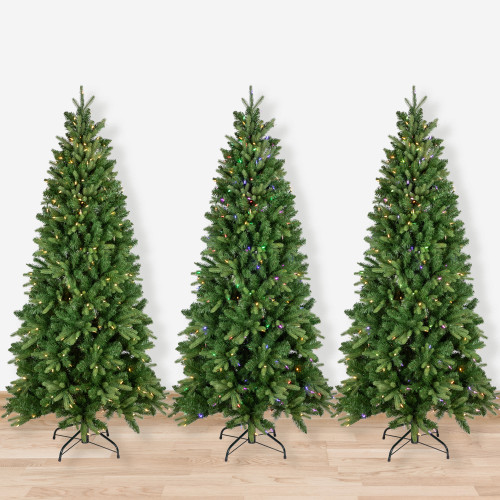 Real Touch?? Pre-Lit Slim Washington Frasier Fir Christmas Tree - 6.5' - Dual Color LED Lights