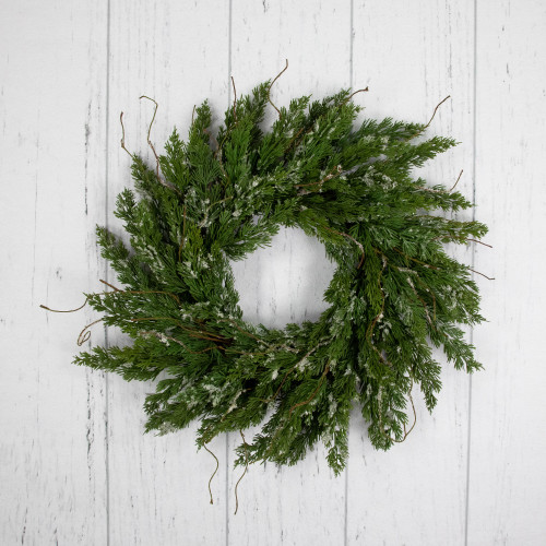 Real Touch?? Iced Cedar Artificial Christmas Wreath  - 24" - Unlit