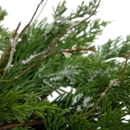 Real Touch?? Iced Cedar Artificial Christmas Wreath  - 24" - Unlit