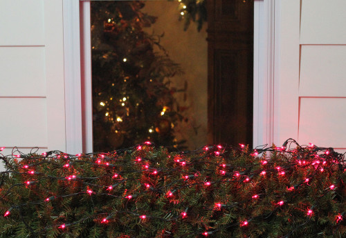 4' x 6' Pink Mini Incandescent Net Style Christmas Net Lights - Green Wire