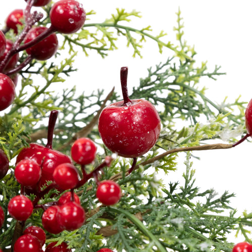 Frosted Berry and Crabapple Artificial Cedar and Pine Christmas Wreath - 24" - Unlit