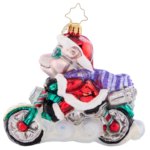 Christopher Radko Low Rider Hog Glass Christmas Ornament 1021519