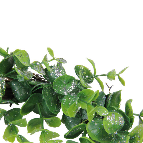 Sparkling Silver and Green Grass Decorative Artificial Christmas Wreath - 8.75-Inch, Unlit