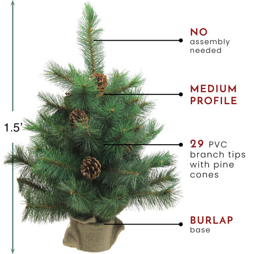 18" Medium Royal Oregon Pine Burlap Base Artificial Christmas Tree - Unlit