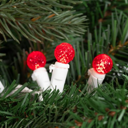 LED G12 Berry Christmas Lights - Red - 16' White Wire -50 ct