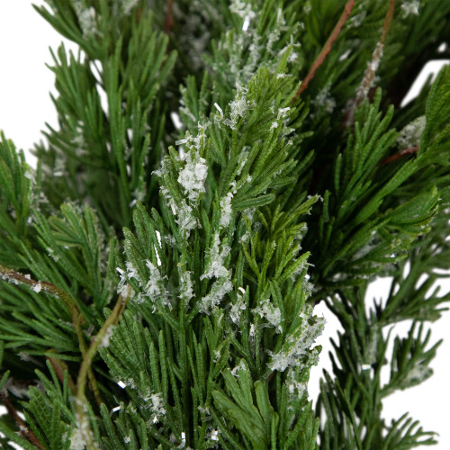 Real Touch?? Iced Cedar Artificial Christmas Wreath  - 24" - Unlit