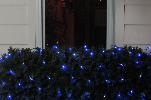 4' x 6' Blue LED Wide Angle Christmas Net Lights, Green Wire