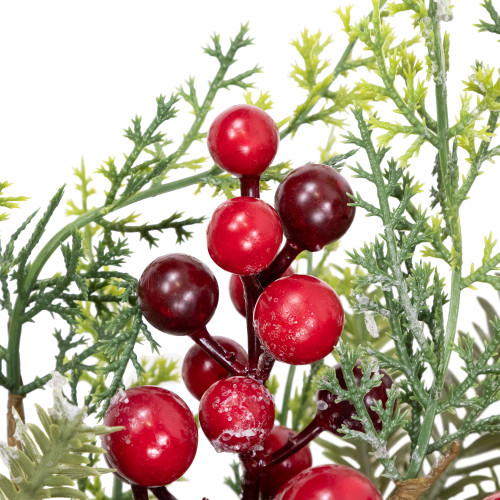 Frosted Berry and Crabapple Artificial Cedar and Pine Christmas Wreath - 24" - Unlit