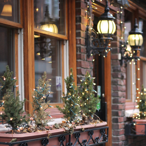 300-Count Clear Mini Christmas Light Set, 149.6ft Green Wire