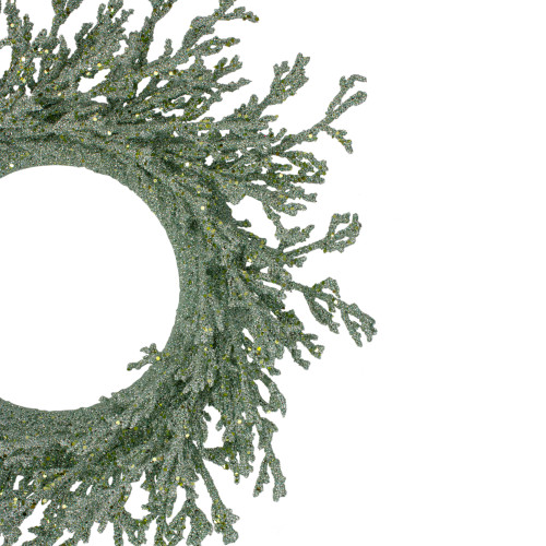 20" Green Glittered Artificial Coral Christmas  Wreath