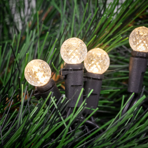 LED G12 Berry Christmas Lights - Warm White - 16' Black Wire - 50 ct