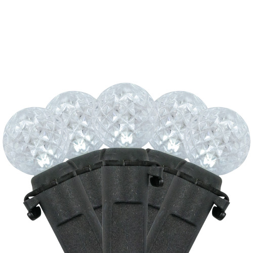 LED G12 Berry Christmas Lights - Pure White - 16' Black Wire - 50 ct