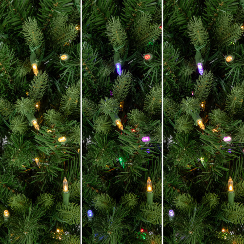 Real Touch?? Pre-Lit Slim Washington Frasier Fir Christmas Tree - 6.5' - Dual Color LED Lights