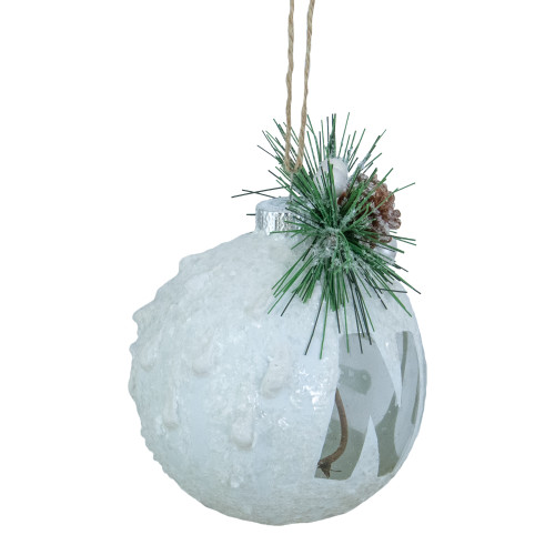5" White Frosted NOEL With Holly and Berries Christmas Glass Ornament