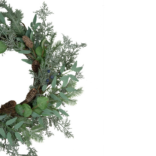 Frosted Green Mixed Foliage and Blueberries Artificial Christmas Wreath, 26-Inch, Unlit