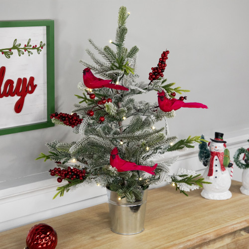 Pre-Lit LED Frosted Mixed Pine with Cardinals Potted Christmas Tree - 2' - Warm White Lights