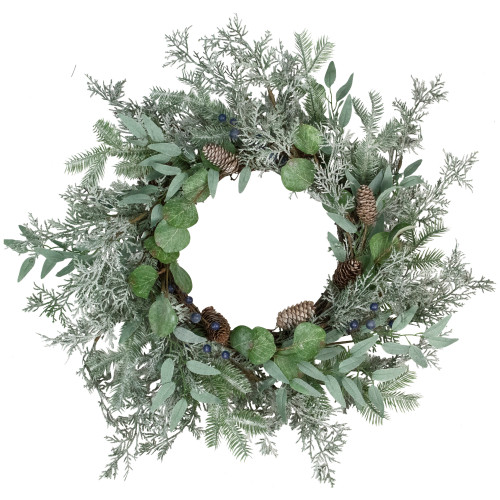 Frosted Green Mixed Foliage and Blueberries Artificial Christmas Wreath, 26-Inch, Unlit