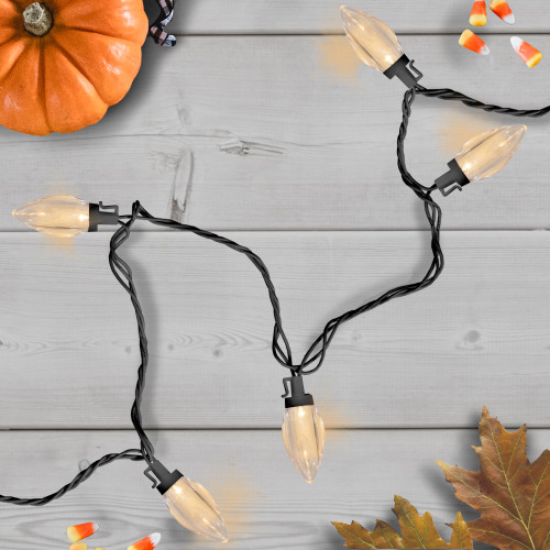 25 Count Warm White LED C9 Christmas Lights, 16 ft Black Wire