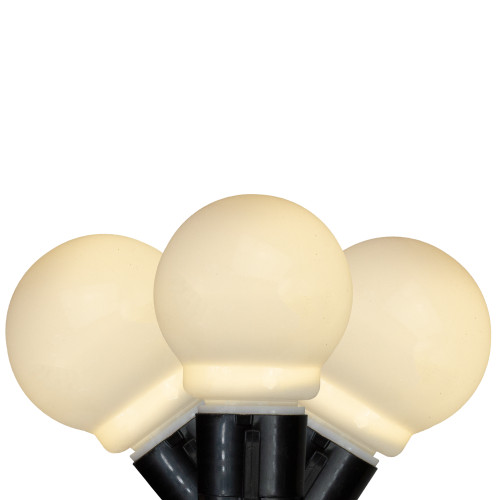 10 Warm White Glass LED Christmas Lights - 15 ft Black Wire