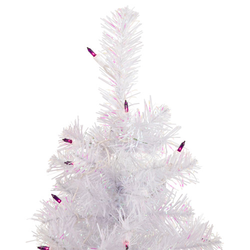 2' Pre-lit Rockport White Pine Artificial Christmas Tree, Purple Lights