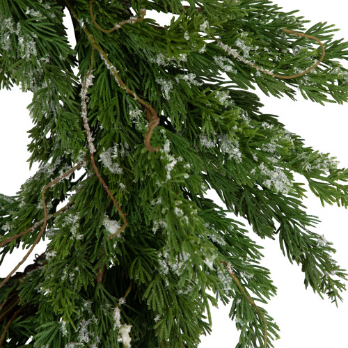 Real Touch?? Iced Cedar Artificial Christmas Wreath  - 24" - Unlit