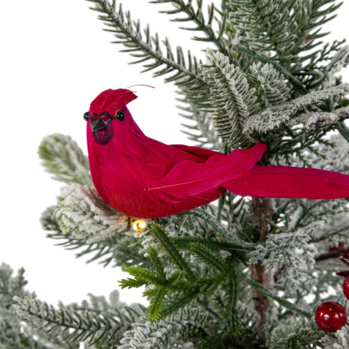 Pre-Lit LED Frosted Mixed Pine with Cardinals Potted Christmas Tree - 2' - Warm White Lights