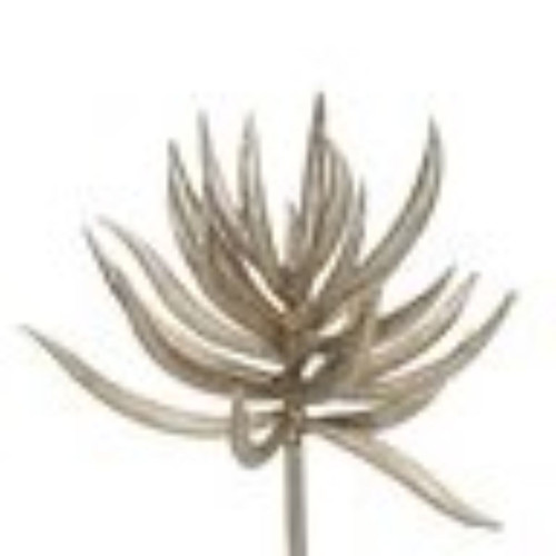 9.5" Silver and Brown Glittered Aeonium Artificial Christmas Spray