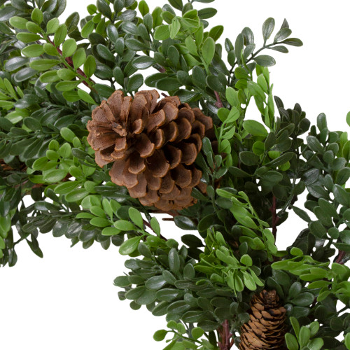 Boxwood and Pine Cone Artificial Christmas Wreath - 27" - Unlit