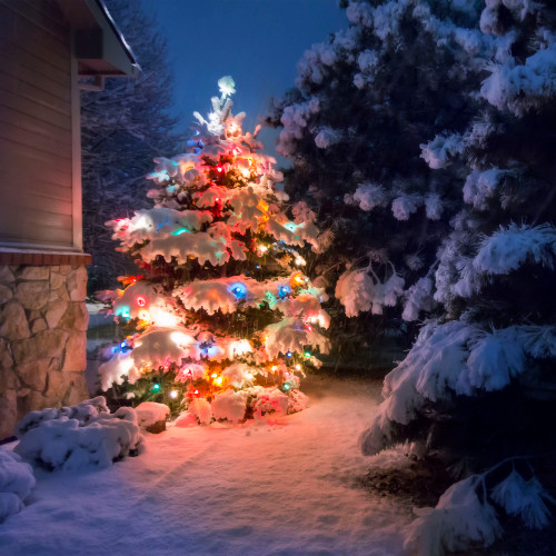 Set of 300 Multi-Color Mini Christmas Light Set, 61 ft Green Wire