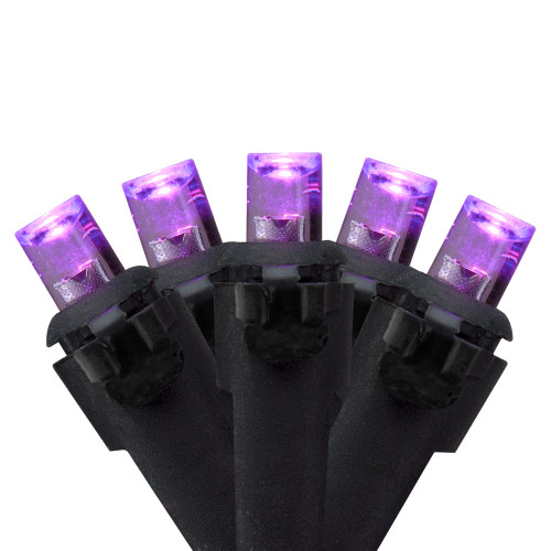 Wide Angle LED Christmas Lights - Purple - 16' Black Wire - 50ct