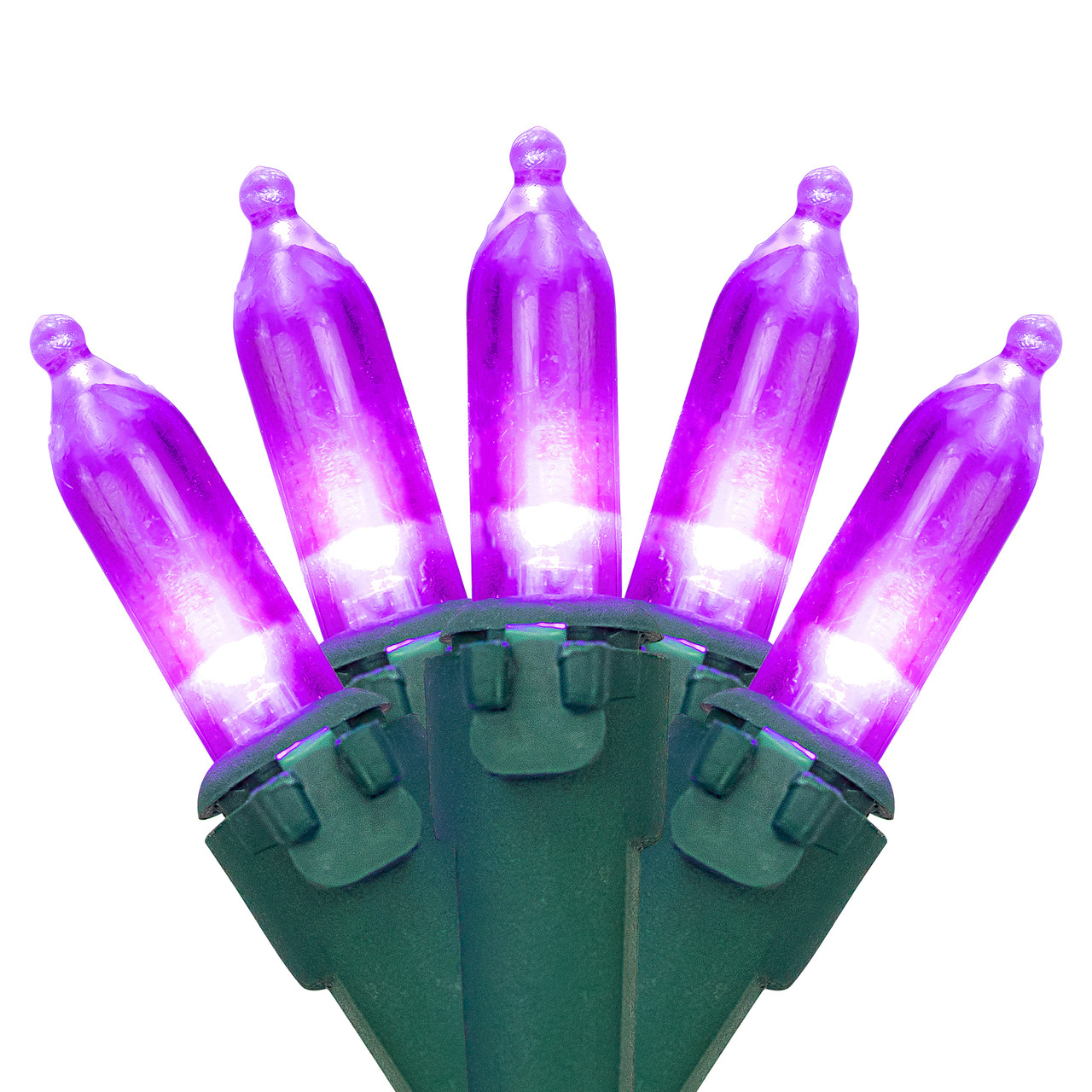 LED Mini Christmas Lights - Purple -33' Green Wire - 100ct