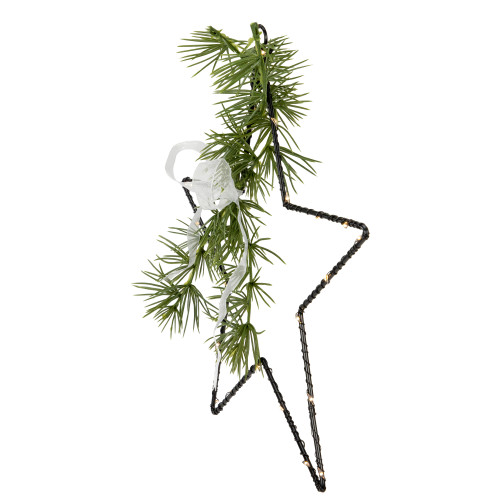 11" LED Lighted Star with Rosemary Sprig Christmas Decoration, Warm White Lights