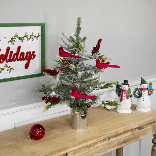 Pre-Lit LED Frosted Mixed Pine with Cardinals Potted Christmas Tree - 2' - Warm White Lights