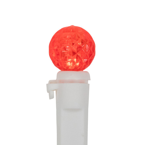 LED G12 Berry Christmas Lights - Red - 16' White Wire -50 ct