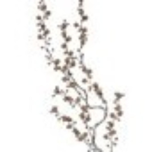 36" Gold Juniper Rose Glittered Artificial Christmas Spray