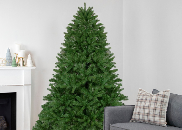 Unlit Christmas Trees