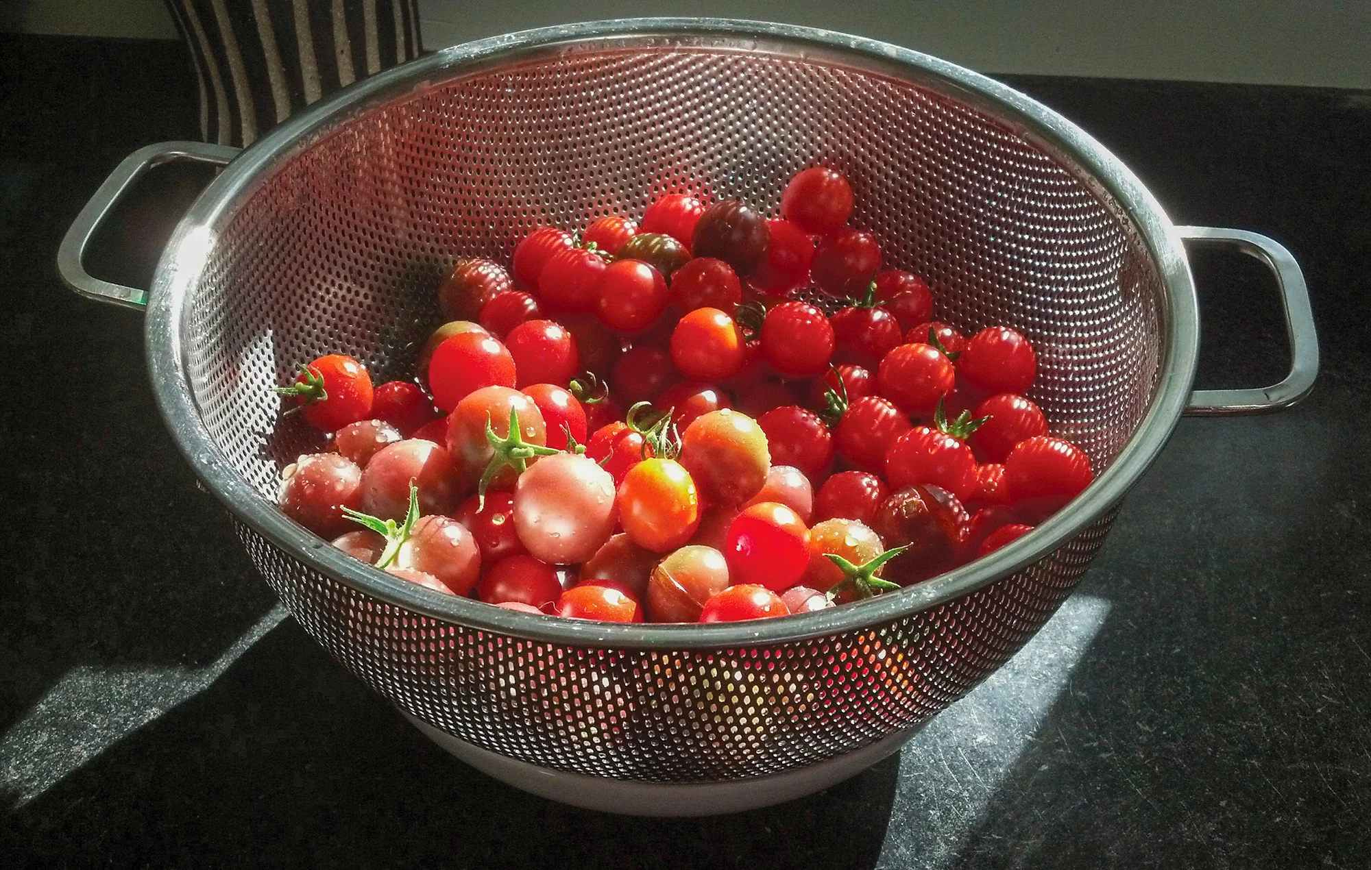 Endurance® Precision Pierced Colander 5Qt