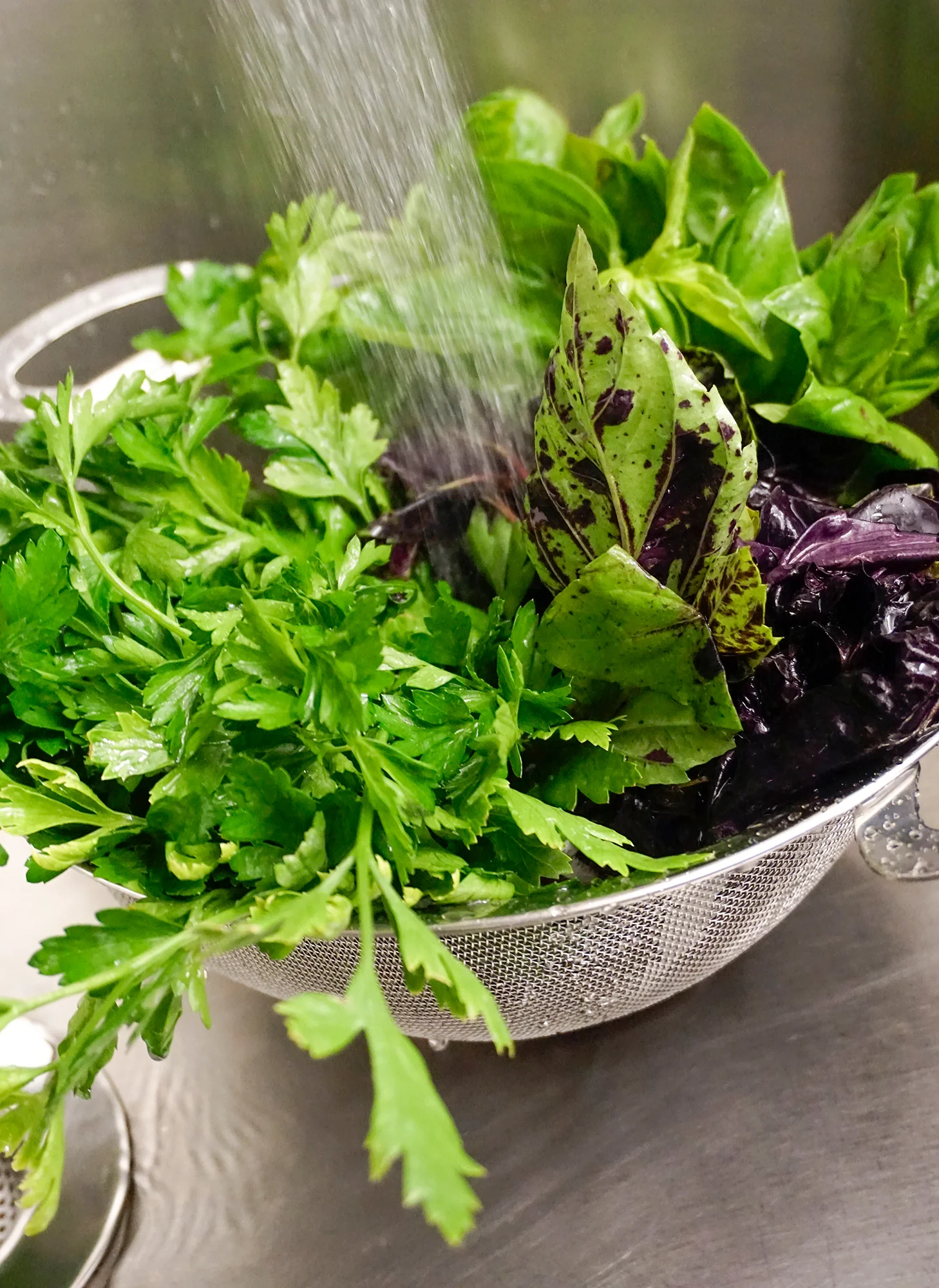 Endurance® Mesh Colander 4Qt