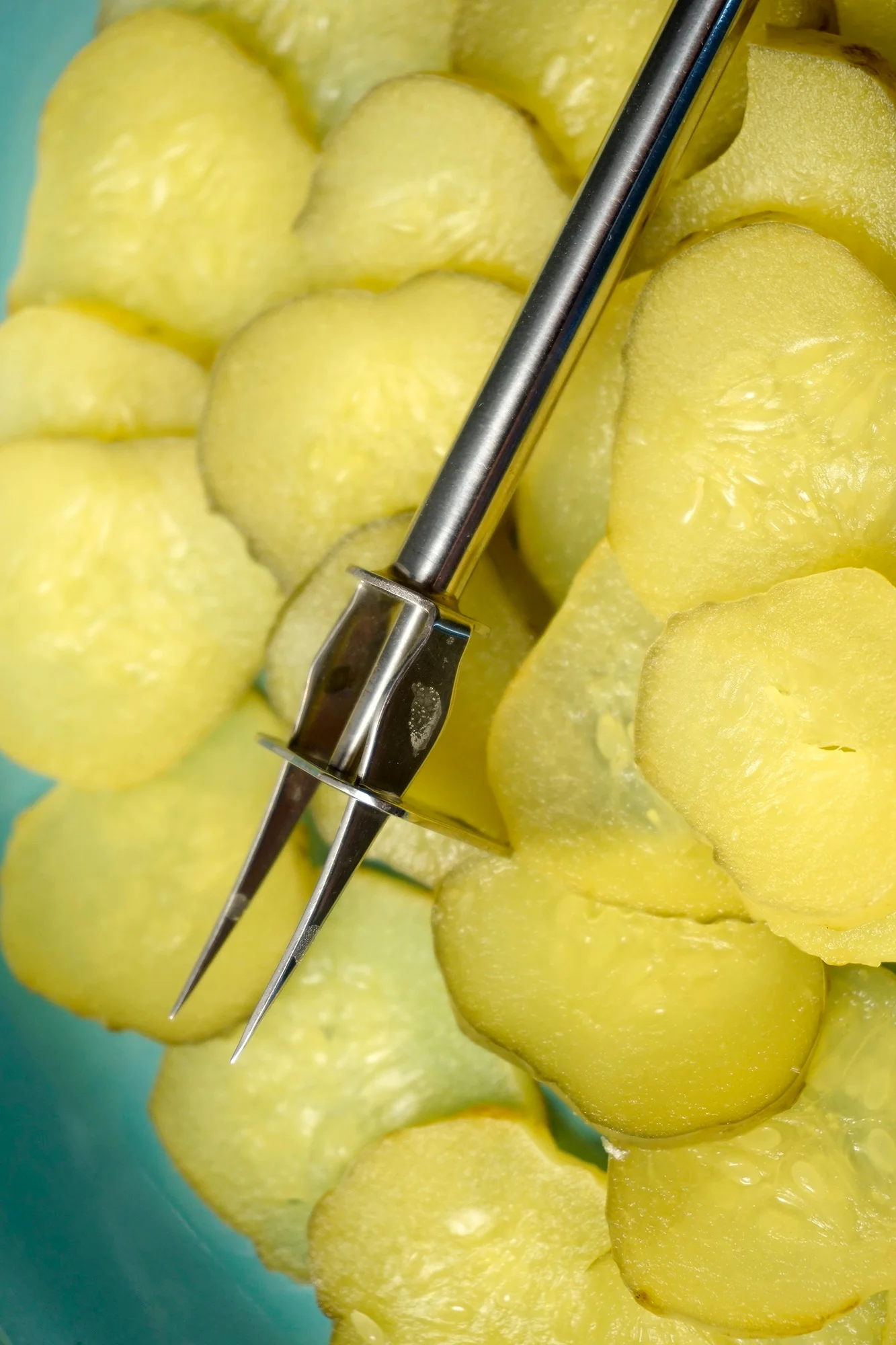 Endurance® Long Reach Pickle Fork