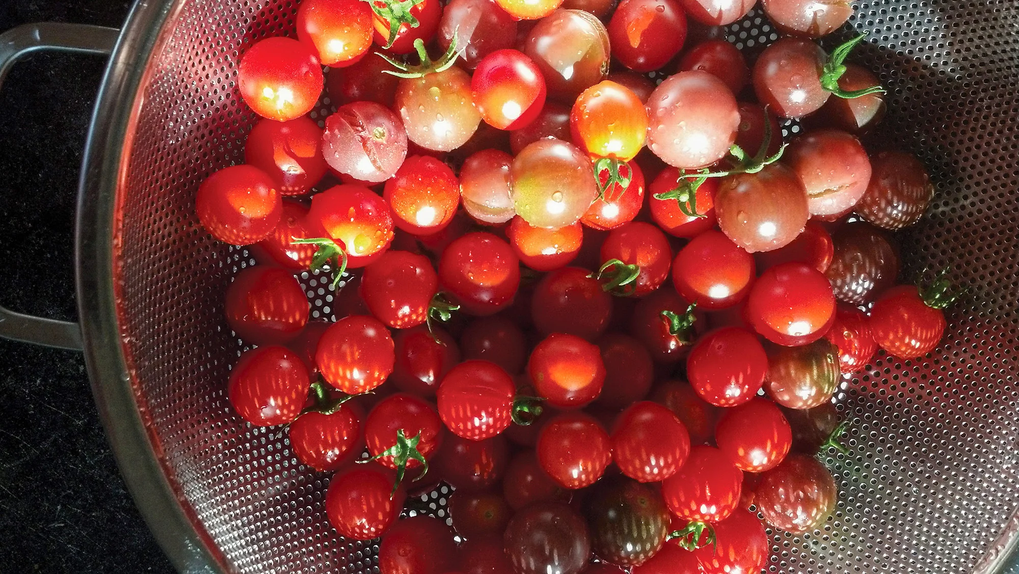 Endurance® Precision Pierced Colander 5Qt