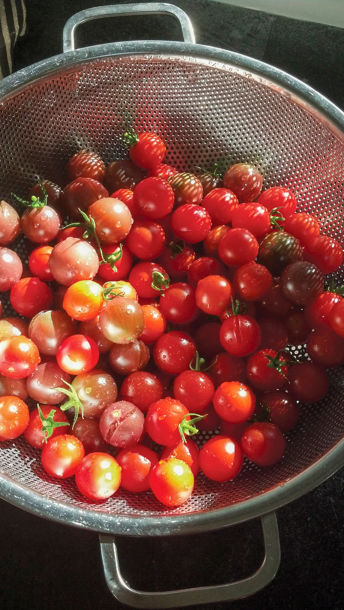 Endurance® Precision Pierced Colander 5Qt