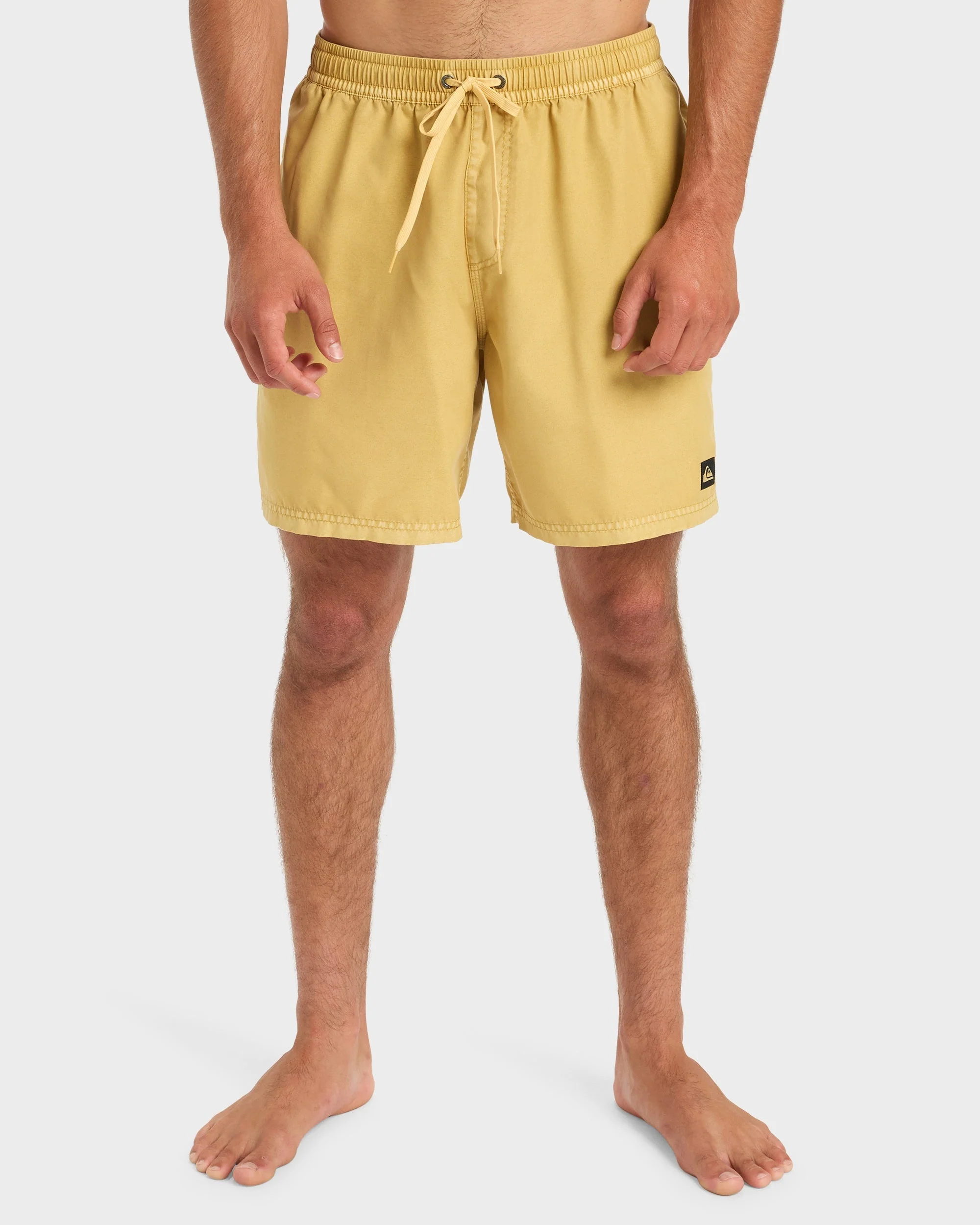 Mens Everyday Surfwash 17 Swim Shorts