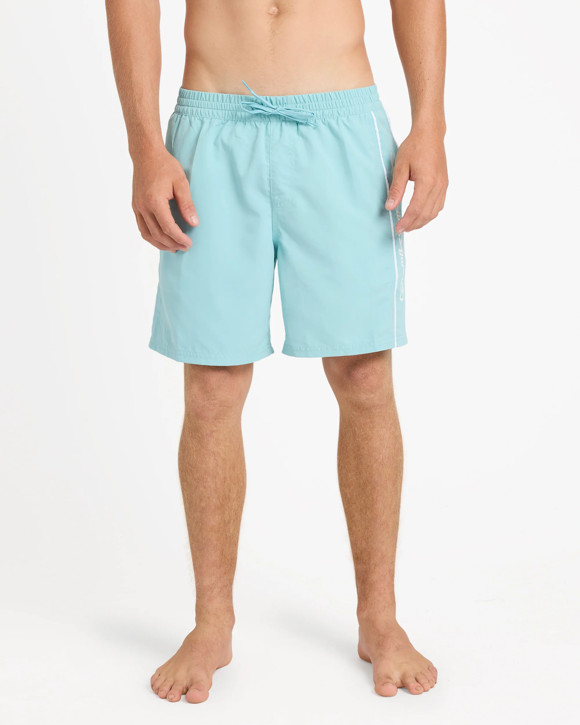Mens Everyday Vert 17 Swim Shorts
