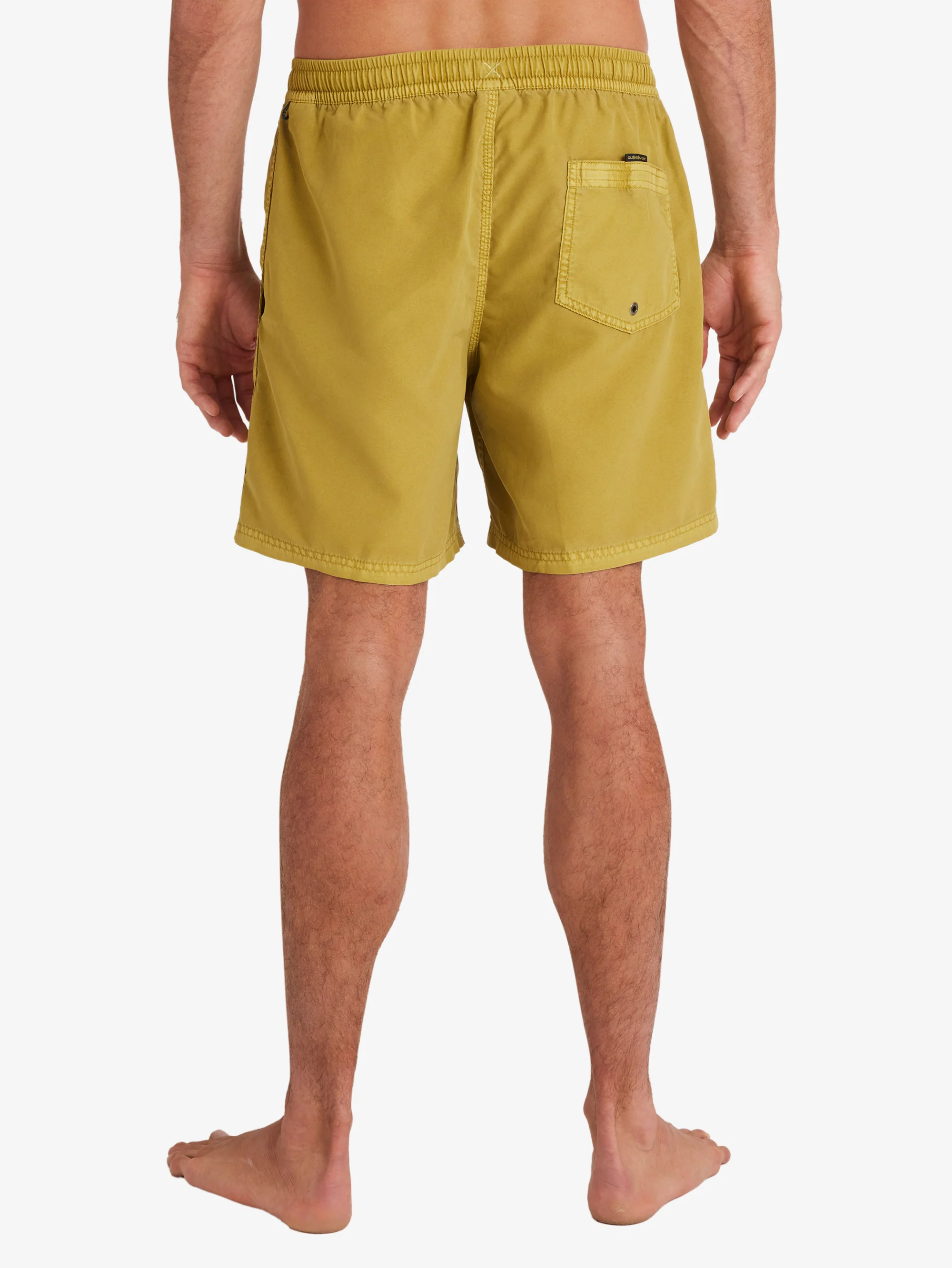 Mens Everyday Surfwash Volley 17 Swim Shorts
