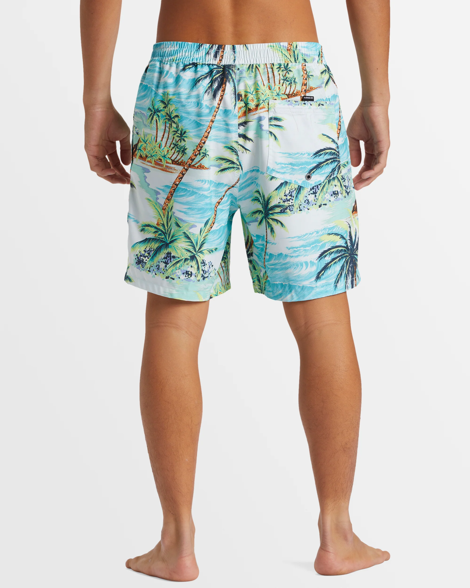 Mens Everyday Mix 17 Boardshorts