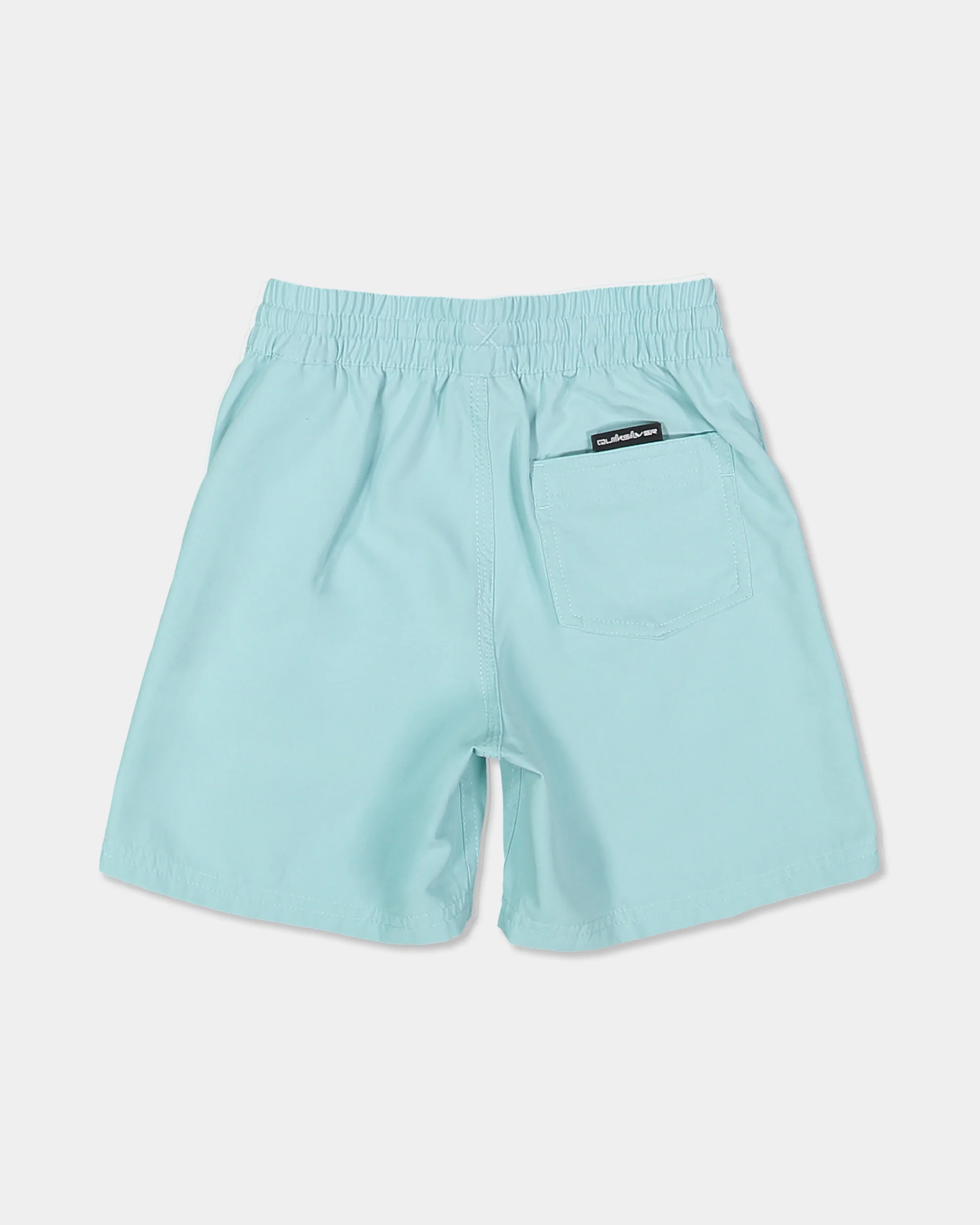 Boys 2-7 Everyday Vert 13 Swim Shorts